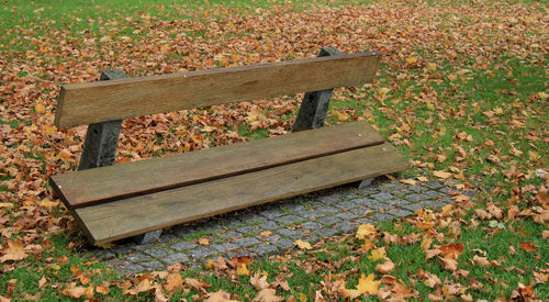 Bench on grassy field