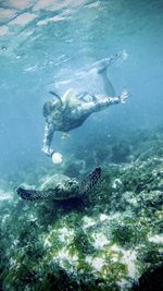 Diver and turtle under the sea