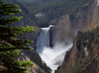 Scenic view of waterfall in forest