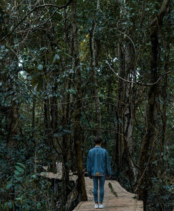 Rear view of man standing by trees in forest