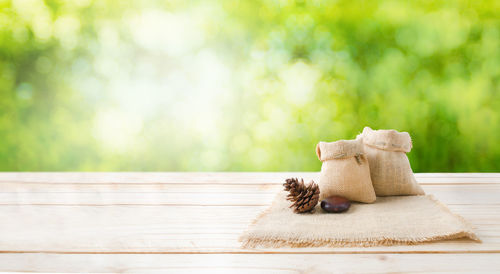Close-up of table against tree