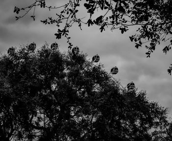 Low angle view of silhouette tree against sky