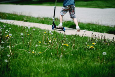 Boy riding push scooter by grassy field