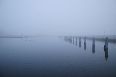 Bollards in sea during foggy weather