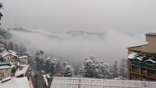 High angle view of snow covered buildings and trees