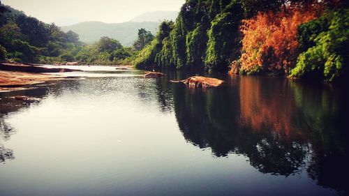 Scenic view of lake by trees against sky
