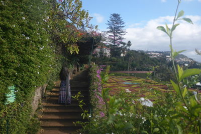 Scenic view of flowering plants and trees against sky