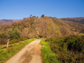 Dirt road amidst landscape against clear sky