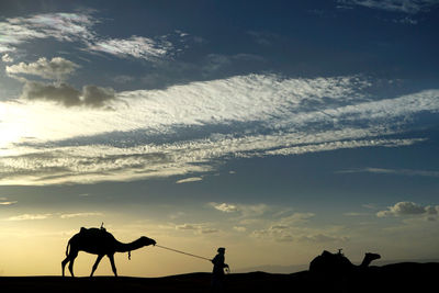 Silhouette people riding horses against sky during sunset