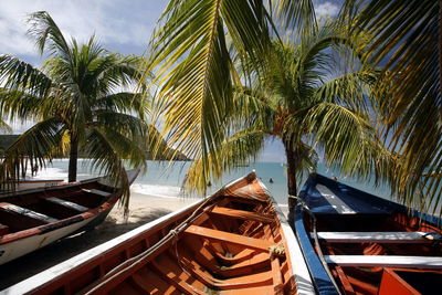 Boats moored by coconut palm trees at beach against sky