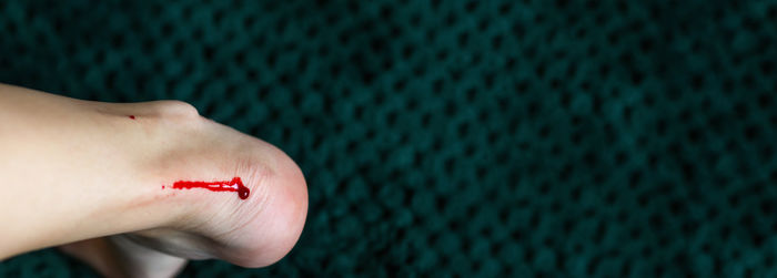 Cropped hand of person holding flower