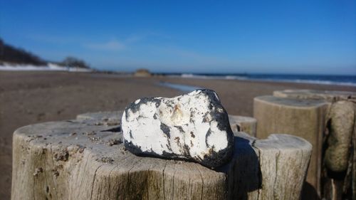 Close-up of wooden posts on beach