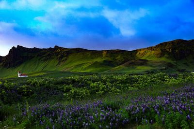 Scenic view of purple mountains against sky