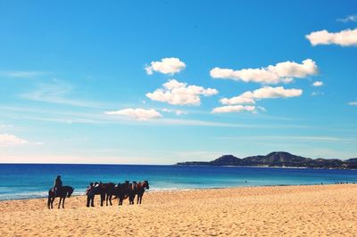 Scenic view of beach against cloudy sky