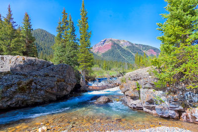 Scenic view of stream amidst rocks and trees against blue sky