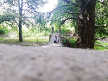 Rear view of woman sitting on road by trees in park