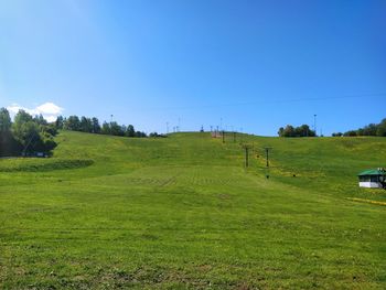 Scenic view of field against clear blue sky