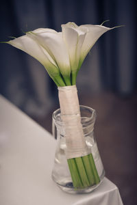 Close-up of flowers