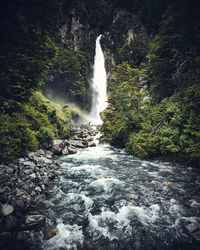 View of waterfall in forest