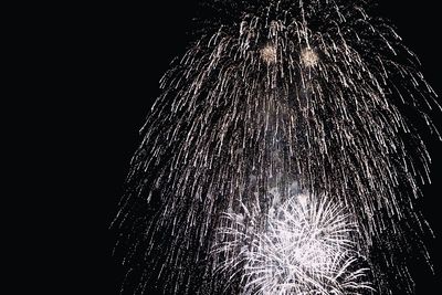 Low angle view of firework display at night