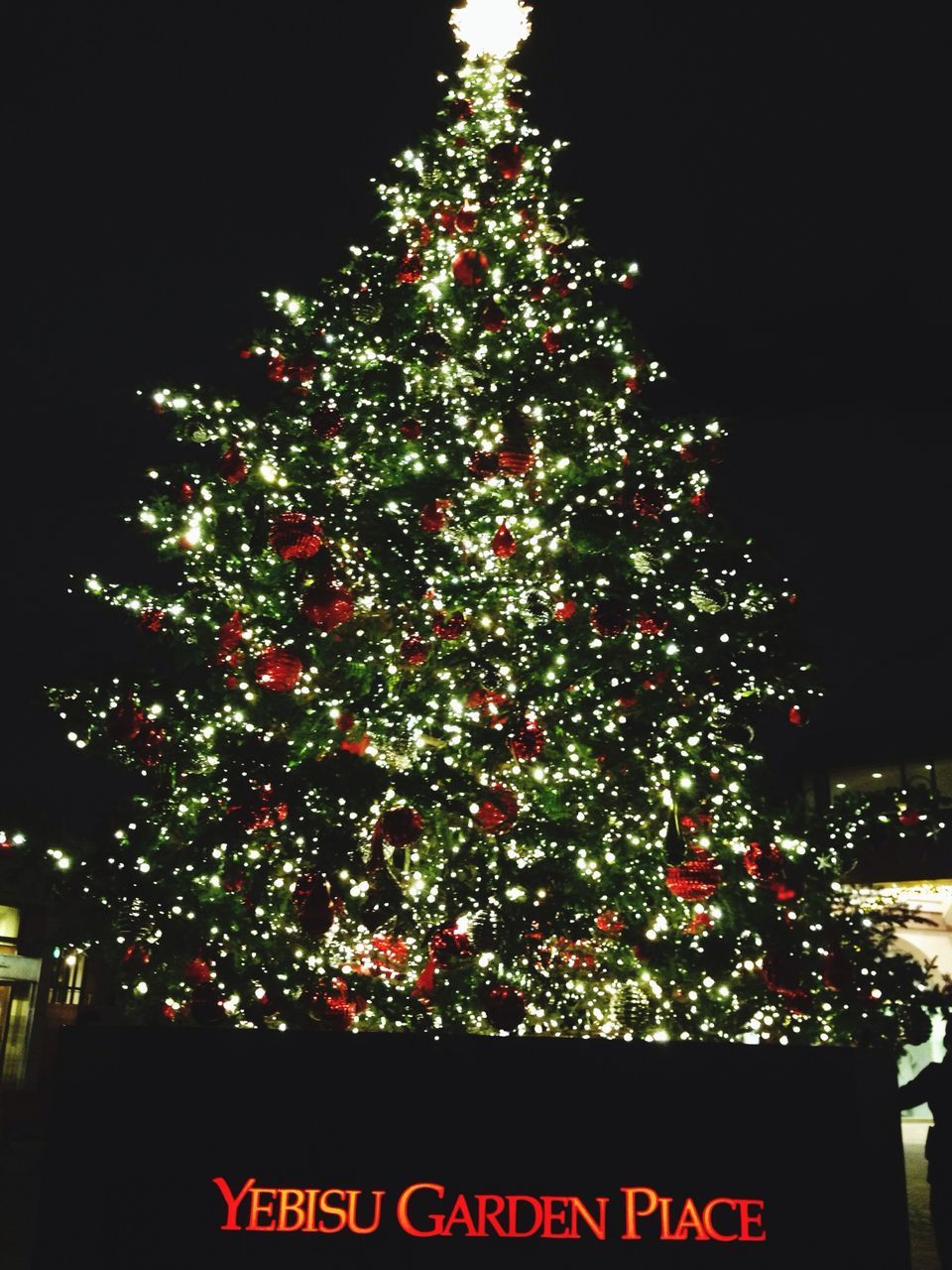 night, illuminated, celebration, low angle view, christmas, decoration, christmas decoration, christmas tree, lighting equipment, christmas lights, tree, tradition, text, celebration event, red, outdoors, no people, clear sky, hanging, branch