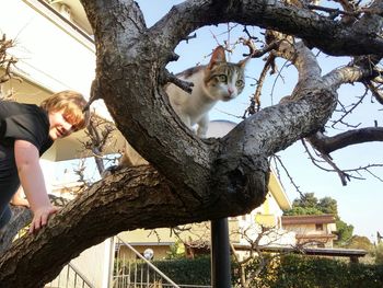 Low angle view of boy and cat on tree trunk against sky