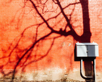 Shadow of bare tree on wall