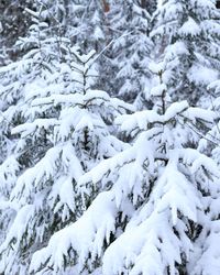 Scenic view of snow covered land