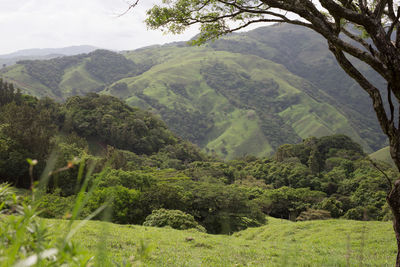 Scenic view of mountains