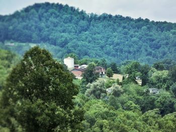 View of trees on landscape