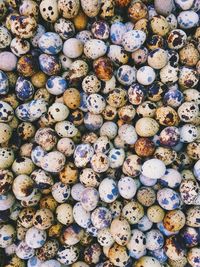 Full frame shot of quail eggs