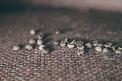 Surface level of pebbles on beach