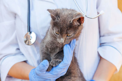 Midsection of doctor holding cat