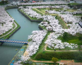 High angle view of plants by river