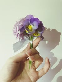 Close-up of hand holding purple flowering plant against white background