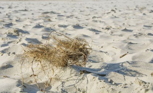 Close-up of sand on beach