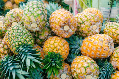 Close-up of pineapple fruit