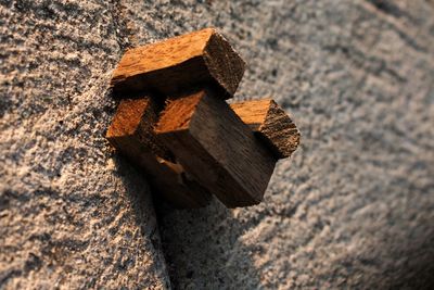 Close-up of stack of wood