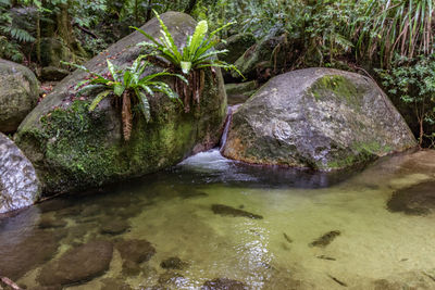 Scenic view of waterfall