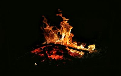 Close-up of bonfire