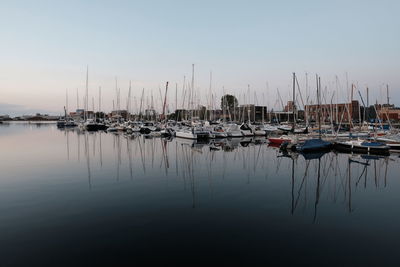 Sailboats moored in harbor