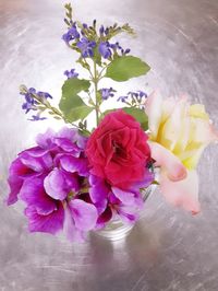 Close-up of purple orchid on table