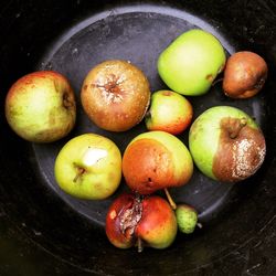 High angle view of rotten fruits in container