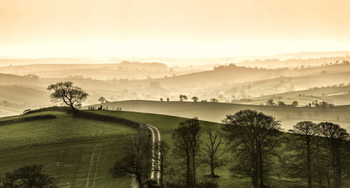 High angle view of landscape