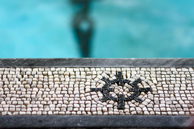 Close-up of insect on swimming pool
