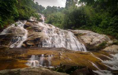 Scenic view of waterfall in forest