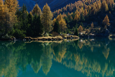 Reflection of trees in lake against sky