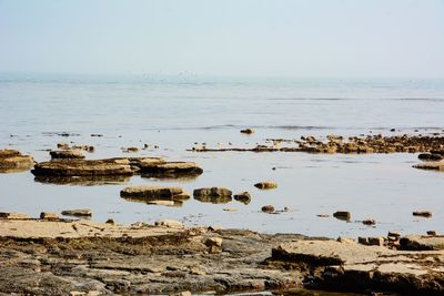 Scenic view of sea against clear sky