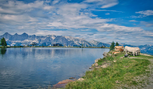 Scenic view of lake and mountains against sky