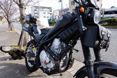 Motorcycle parked on street in city